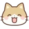 cats ➜