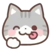 cats ➜