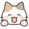 cats ➜