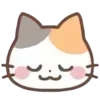 cats ➜