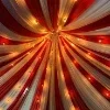 Circus ➜
