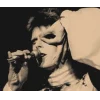 davidbowiecore by