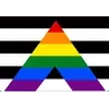 Discord LGBT