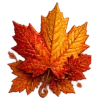 Осень в Союзе 🍂 тгк: Союзовы о КР