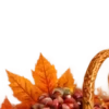 Осень в Союзе 🍂 тгк: Союзовы о КР