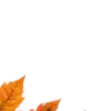 Осень в Союзе 🍂 тгк: Союзовы о КР