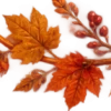 Осень в Союзе 🍂 тгк: Союзовы о КР