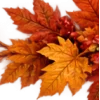 Осень в Союзе 🍂 тгк: Союзовы о КР