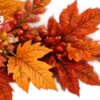 Осень в Союзе 🍂 тгк: Союзовы о КР
