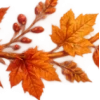 Осень в Союзе 🍂 тгк: Союзовы о КР