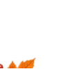 Осень в Союзе 🍂 тгк: Союзовы о КР