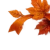 Осень в Союзе 🍂 тгк: Союзовы о КР