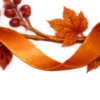 Осень в Союзе 🍂 тгк: Союзовы о КР