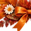 Осень в Союзе 🍂 тгк: Союзовы о КР