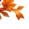 Осень в Союзе 🍂 тгк: Союзовы о КР