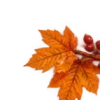 Осень в Союзе 🍂 тгк: Союзовы о КР