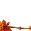 Осень в Союзе 🍂 тгк: Союзовы о КР
