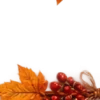Осень в Союзе 🍂 тгк: Союзовы о КР
