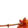 Осень в Союзе 🍂 тгк: Союзовы о КР