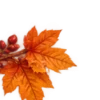 Осень в Союзе 🍂 тгк: Союзовы о КР