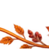 Осень в Союзе 🍂 тгк: Союзовы о КР