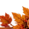 Осень в Союзе 🍂 тгк: Союзовы о КР