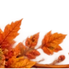 Осень в Союзе 🍂 тгк: Союзовы о КР