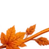 Осень в Союзе 🍂 тгк: Союзовы о КР