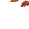 Осень в Союзе 🍂 тгк: Союзовы о КР