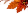 Осень в Союзе 🍂 тгк: Союзовы о КР