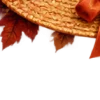Осень в Союзе 🍂 тгк: Союзовы о КР