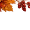 Осень в Союзе 🍂 тгк: Союзовы о КР