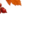 Осень в Союзе 🍂 тгк: Союзовы о КР