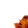Осень в Союзе 🍂 тгк: Союзовы о КР