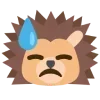 ёжик ➜