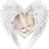 love all around