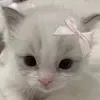 < все эмодзи