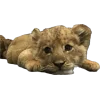 fatixxl