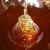 Honey ➜