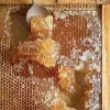 Honey ➜