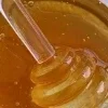 Honey ➜