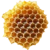 Honey ➜