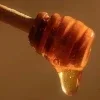 Honey ➜