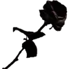 smnkichiro