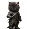 Котики — рыцари ★