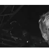 Lil Peep for Halloween by