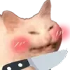 мэдятинские