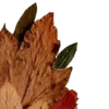 Autumn mood