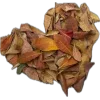 Autumn mood