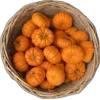 Autumn mood